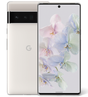 Pixel 6 Pro