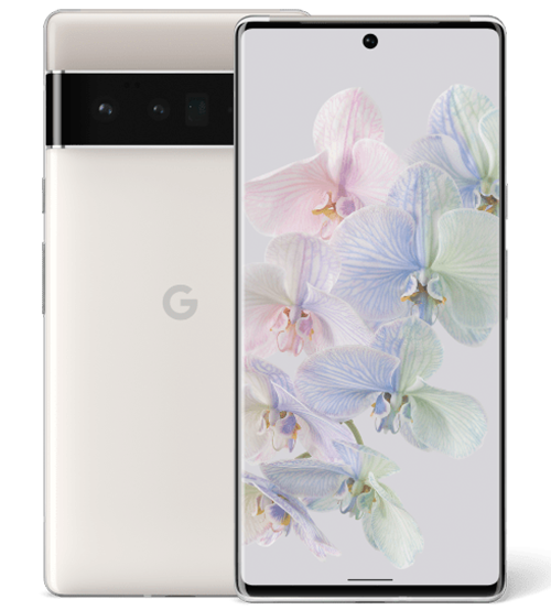 Pixel 6 Pro
